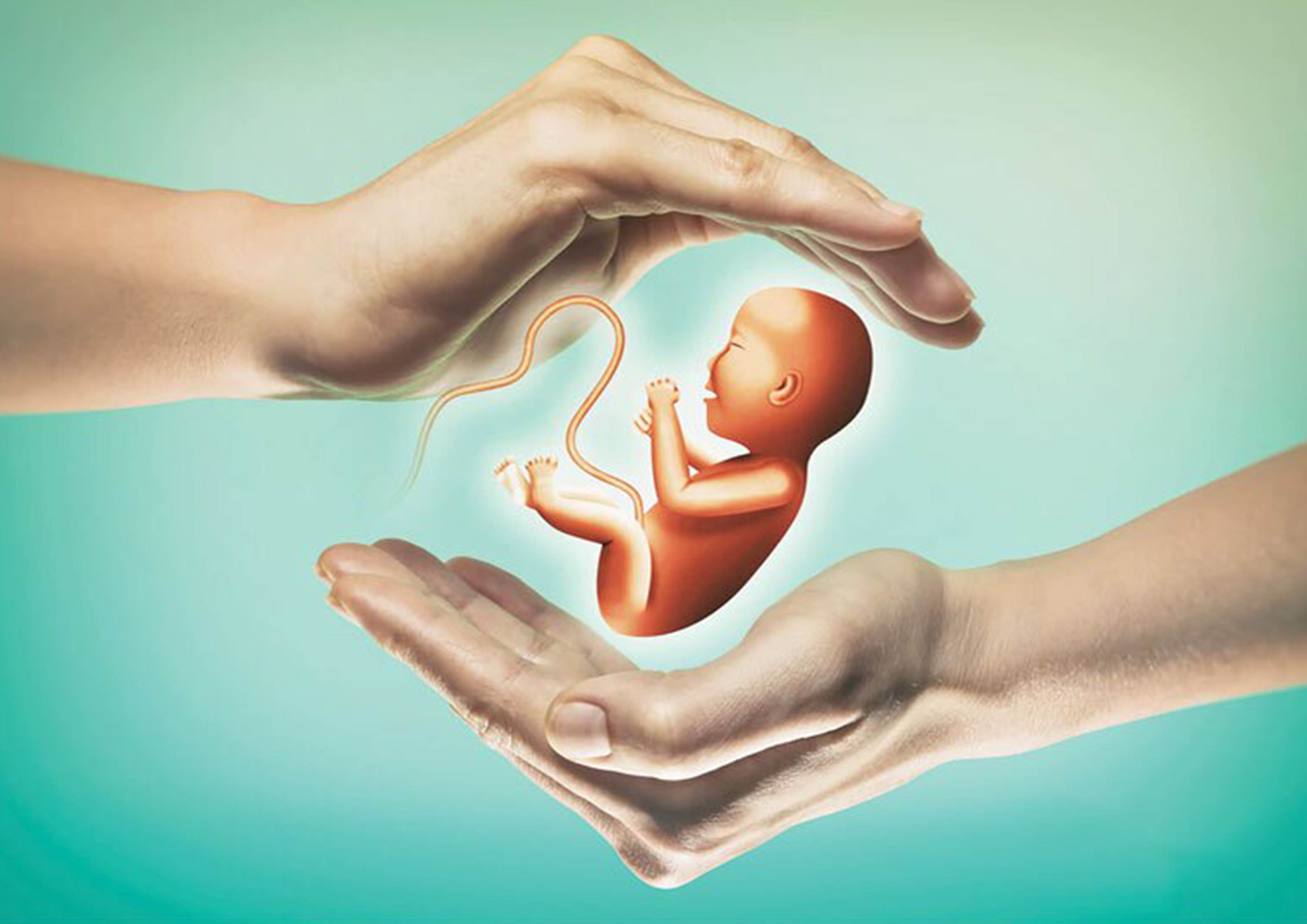 حفظ حیات جنین